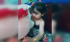 എൻ്റെ പാവക്കുട്ടി