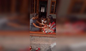 എന്ത് കിളി