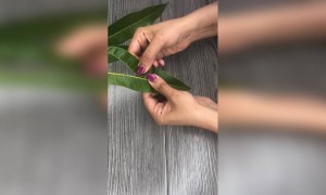 ഓർമ്മകൾ ...