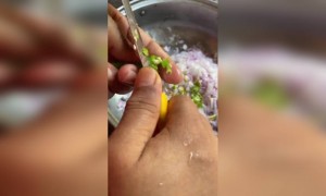 പത്തിരി ആയാലോ