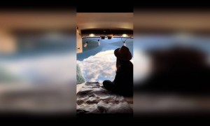 എന്താ ഇത് സ്വർഗ്ഗമോ,,..