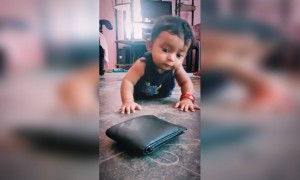 അലനരയും...