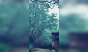 നിൻ ഉയിരിൽ..