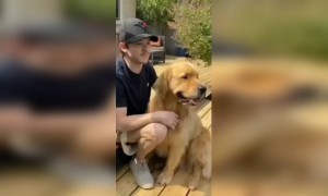 എന്ത് ശബ്‌ദം ആണ്