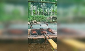 എൻജോയ്‌ ലൈഫ്