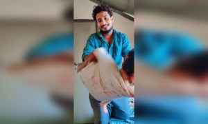 ഊഞ്ഞാൽ ആട്ടമാ