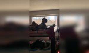 ഉറക്കം മുഖ്യം