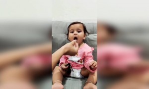 എന്നെ പറ്റിച്ചു