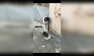 എന്നെ പേടിപ്പിക്കുന്നോ