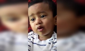 സോറി അമ്മ