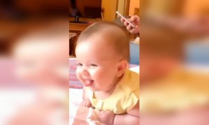 ക്യൂട്ട് വാവ,.,.