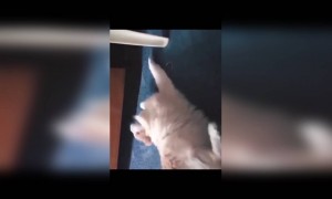 പാവം പേടിച്ചു പോയി,,.