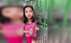 പറ്റിക്കാൻ പറഞ്ഞതാ..