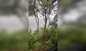 തൂമഞ്ഞിൽ,..