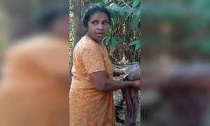 രണ്ട് ടിവി കിട്ടും