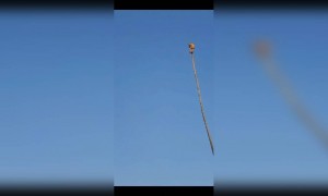 വീഴാതെ പിടിച്ചിരുന്നോ