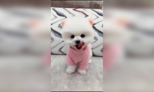 അയ്യോടാ..എന്താ ഭംഗി,,.