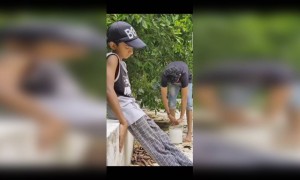 പണി കിട്ടിയല്ലോ !!