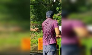 ഹോളി ആഘോഷങ്ങൾ