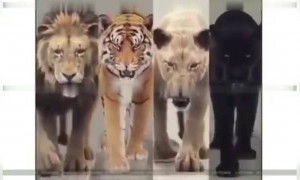 പിറന്നാൾ നിറവിൽ