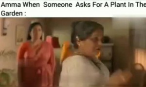 കൊണ്ടുപോയി വളർത്തിക്കോ