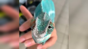 ആ കണ്ണുകൾ കണ്ടോ !