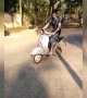 ഇത് സ്കൂട്ടറോ അതോ സൈക്കിളോ !